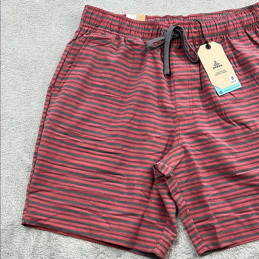 NEW Prana L Metric E-Waist Short Rust Stripe Men's Striped Red Shorts‎